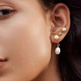 Gold Freshwater Pearl Stud Ear Jackets