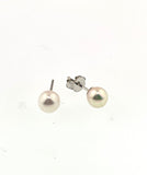 Pearl Stud Earrings