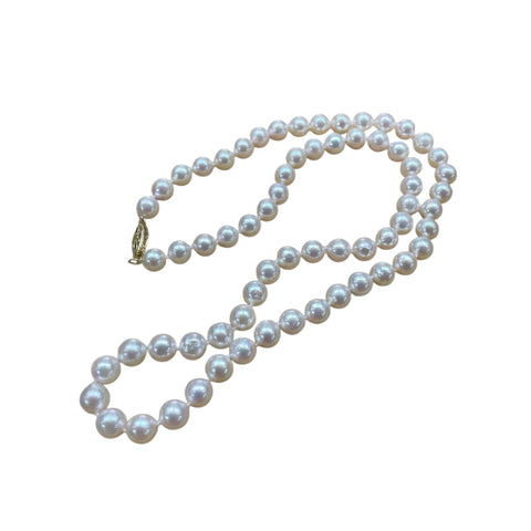 Akoya Pearl Necklace