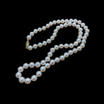 Akoya Pearl Necklace