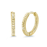 Stainless Steel Rope Hoop Earrings