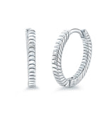 Stainless Steel Rope Hoop Earrings