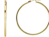 Gold Polished Hoop Earrings